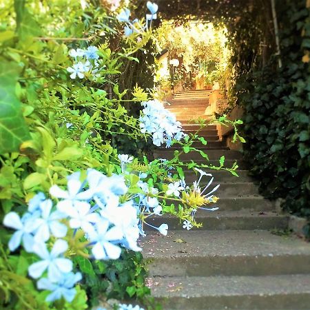 Delle Rose Bed and Breakfast Cefalù Buitenkant foto
