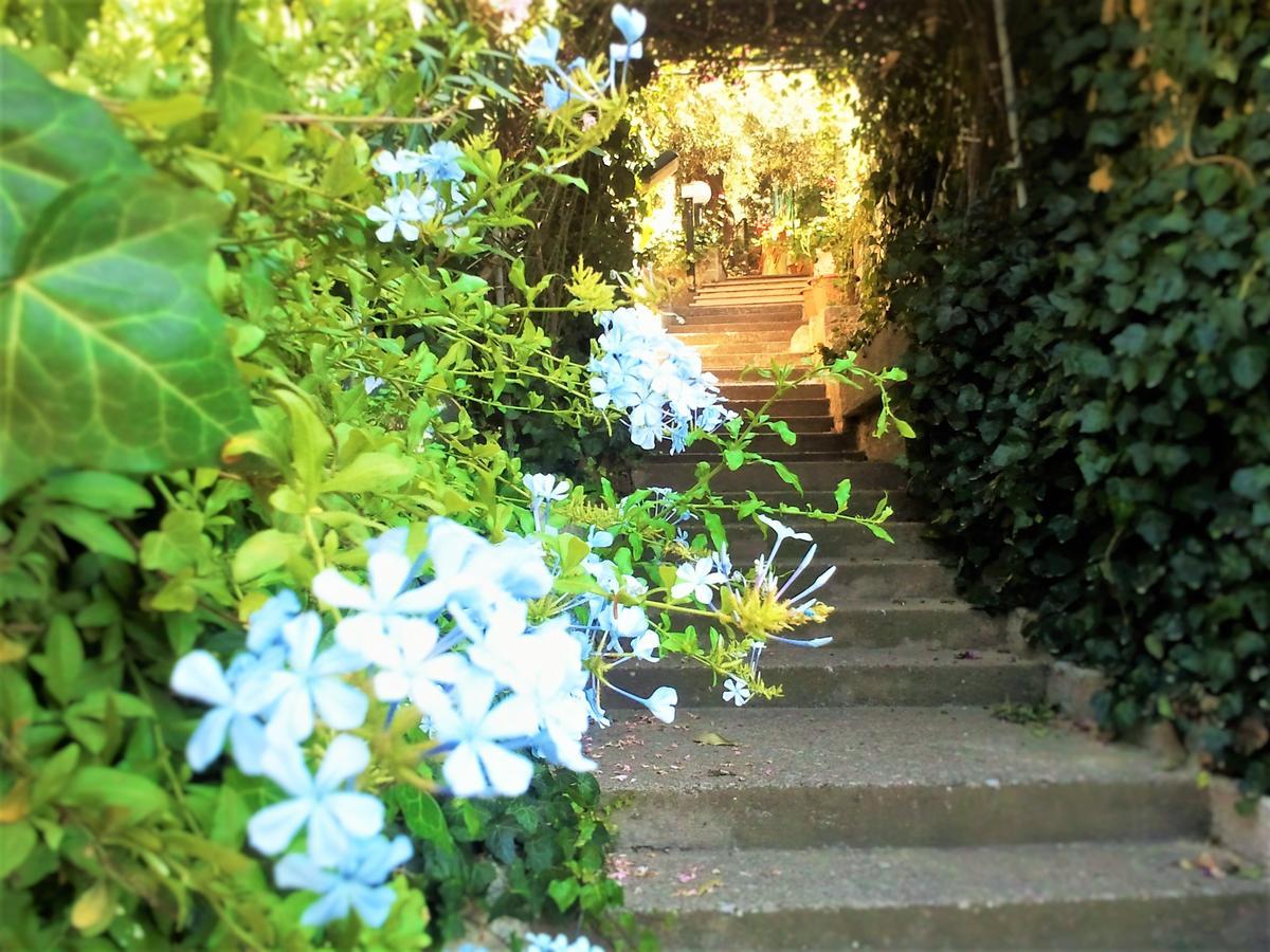 Delle Rose Bed and Breakfast Cefalù Buitenkant foto