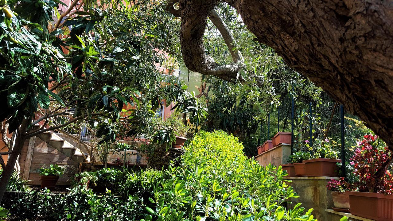 Delle Rose Bed and Breakfast Cefalù Buitenkant foto