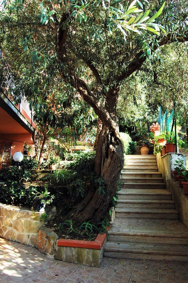 Delle Rose Bed and Breakfast Cefalù Buitenkant foto